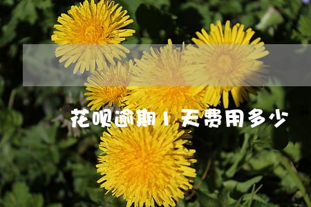花呗逾期1天费用多少 花呗逾期1天费用多少