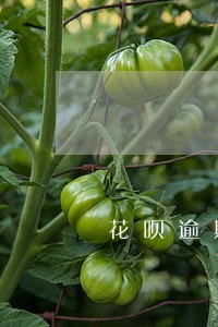 花呗逾期1小时会有记录吗 花呗逾期1小时会有记录吗