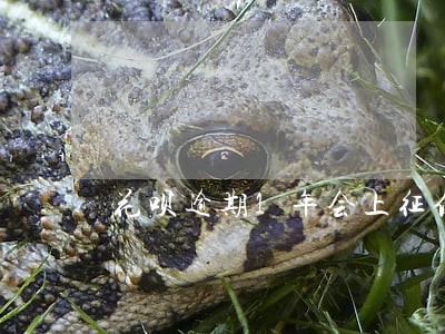 花呗逾期1年会上征信 花呗逾期1年会上征信