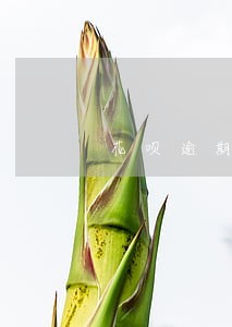 花呗逾期1年会上门吗 花呗逾期1年会上门吗