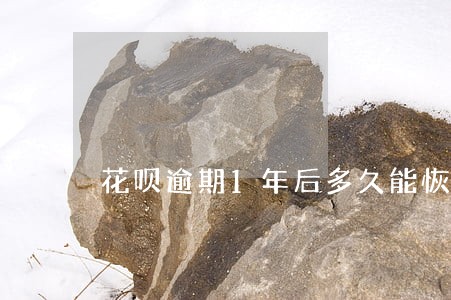 花呗逾期1年后多久能恢复 花呗逾期1年后多久能恢复