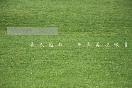花呗逾期1年多再次恢复使用 花呗逾期1年多再次恢复使用