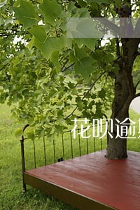花呗逾期1年怎么恢复