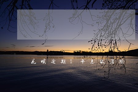 花呗逾期1年怎么消除 花呗逾期1年怎么消除