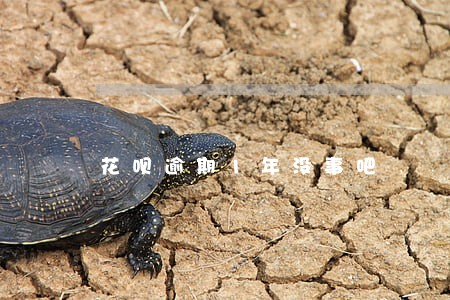 花呗逾期1年没事吧