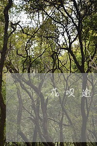 花呗逾期1年能协商还本金吗 花呗逾期1年能协商还本金吗