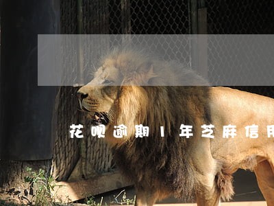 花呗逾期1年芝麻信用450 花呗逾期1年芝麻信用450