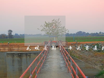 花呗逾期1年说要通知村委会 花呗逾期1年说要通知村委会