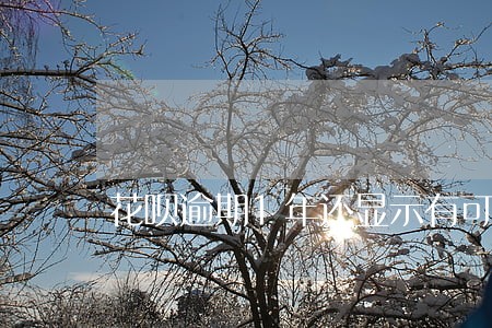 花呗逾期1年还显示有可用额度