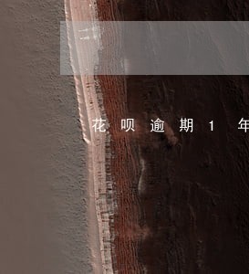 花呗逾期1年还清后多久就能使用
