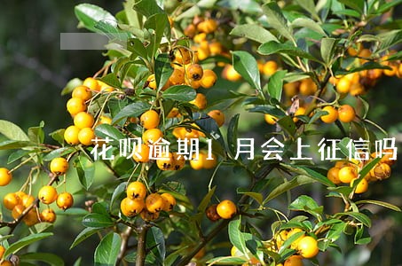 花呗逾期1月会上征信吗 花呗逾期1月会上征信吗