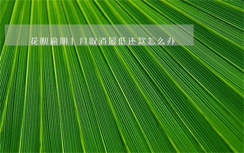 花呗逾期1月取消最低还款怎么办 花呗逾期1月取消最低还款怎么办