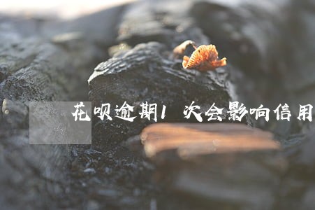 花呗逾期1次会影响信用吗 花呗逾期1次会影响信用吗