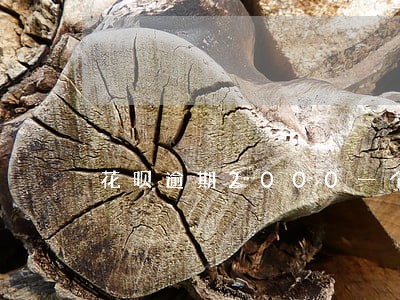 花呗逾期2000一个月多少钱 花呗逾期2000一个月多少钱