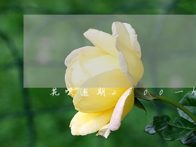 花呗逾期2000一个月就不能用 花呗逾期2000一个月就不能用