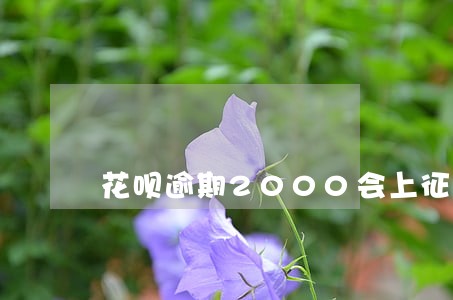 花呗逾期2000会上征信吗 花呗逾期2000会上征信吗