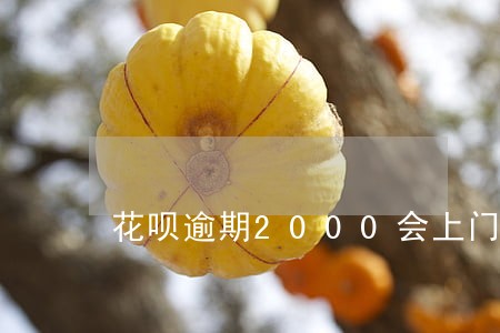 花呗逾期2000会上门么 花呗逾期2000会上门么
