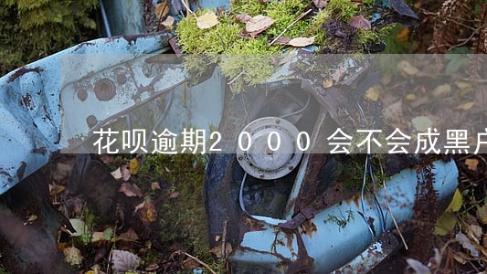 花呗逾期2000会不会成黑户 花呗逾期2000会不会成黑户