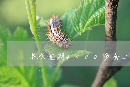 花呗逾期2000多会上门催收吗 花呗逾期2000多会上门催收吗