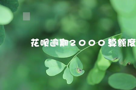 花呗逾期2000算额度较大吗 花呗逾期2000算额度较大吗