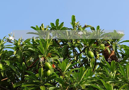 花呗逾期200块会不会上征信 花呗逾期200块会不会上征信