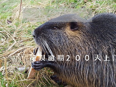 花呗逾期200天上门 花呗逾期200天上门