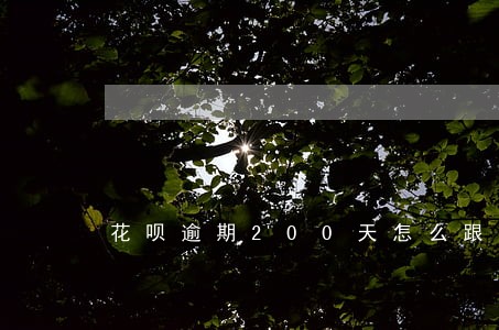 花呗逾期200天怎么跟客服协商 花呗逾期200天怎么跟客服协商