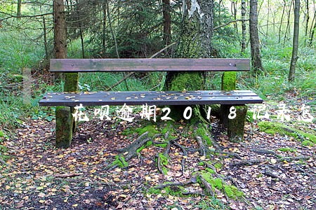 花呗逾期2018记录怎么删除 花呗逾期2018记录怎么删除