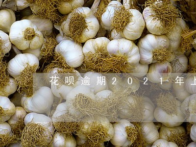 花呗逾期2021年上门 花呗逾期2021年上门