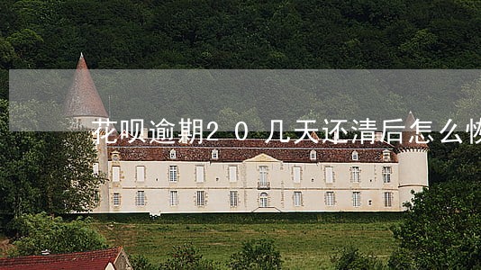 花呗逾期20几天还清后怎么恢复 花呗逾期20几天还清后怎么恢复
