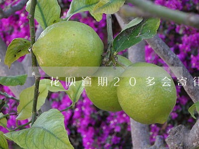 花呗逾期20多会寄律师函吗 花呗逾期20多会寄律师函吗