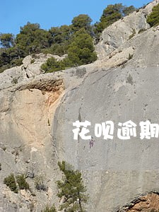 花呗逾期20天会上报征信嘛