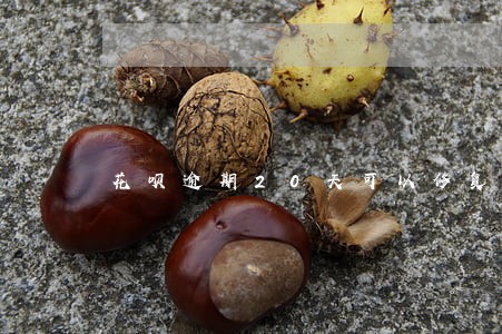 花呗逾期20天可以修复吗 花呗逾期20天可以修复吗