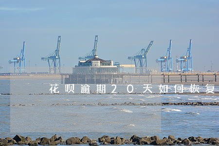 花呗逾期20天如何恢复 花呗逾期20天如何恢复