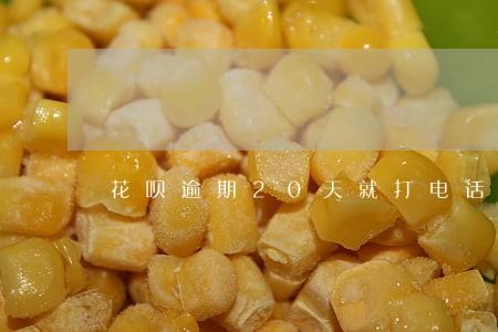 花呗逾期20天就打电话给家人了 花呗逾期20天就打电话给家人了