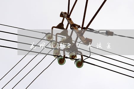 花呗逾期20天恢复 花呗逾期20天恢复