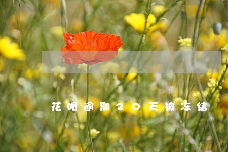 花呗逾期20天被冻结