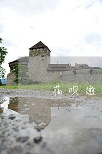 花呗逾期20天被冻结了多久恢复