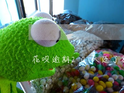 花呗逾期20天还了额度 花呗逾期20天还了额度