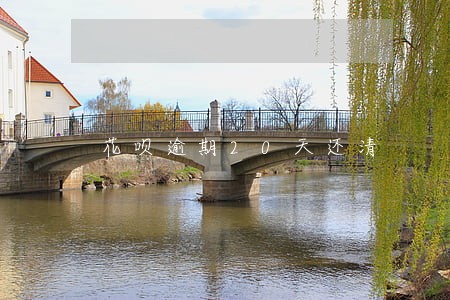 花呗逾期20天还清 花呗逾期20天还清