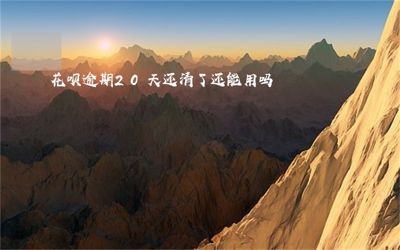 花呗逾期20天还清了还能用吗