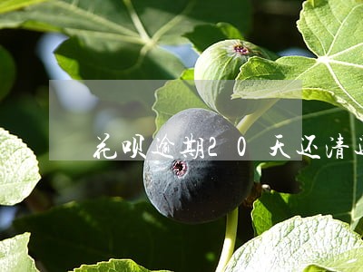 花呗逾期20天还清还能用吗
