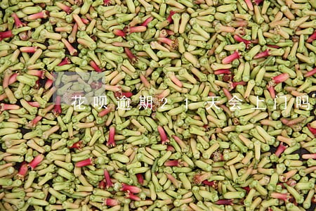 花呗逾期21天会上门吗