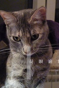 花呗逾期21天多久恢复 花呗逾期21天多久恢复