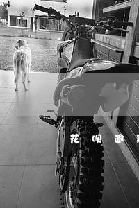 花呗逾期22天罚息多少钱 花呗逾期22天罚息多少钱