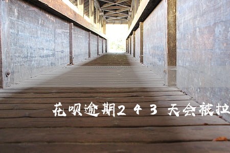 花呗逾期243天会被拉黑吗 花呗逾期243天会被拉黑吗