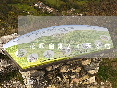 花呗逾期24天冻结