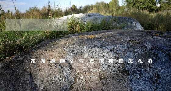 花呗逾期25天信用差怎么办 花呗逾期25天信用差怎么办