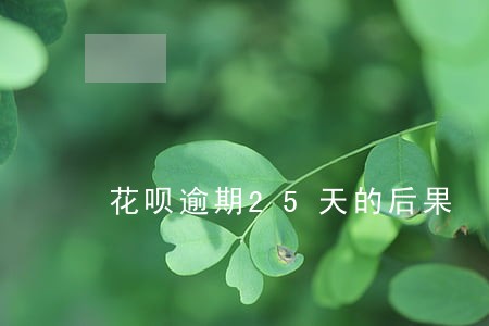 花呗逾期25天的后果 花呗逾期25天的后果