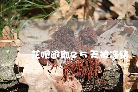 花呗逾期25天被冻结 花呗逾期25天被冻结